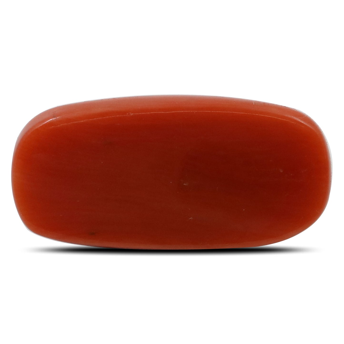 Red Coral (Moonga) - 8.83 Carat