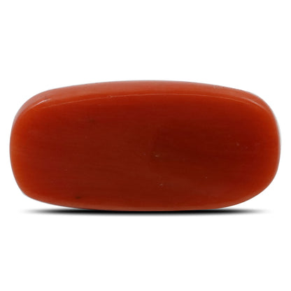 Red Coral (Moonga) - 8.83 Carat