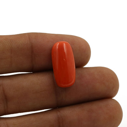 Red Coral (Moonga) - 8.83 Carat