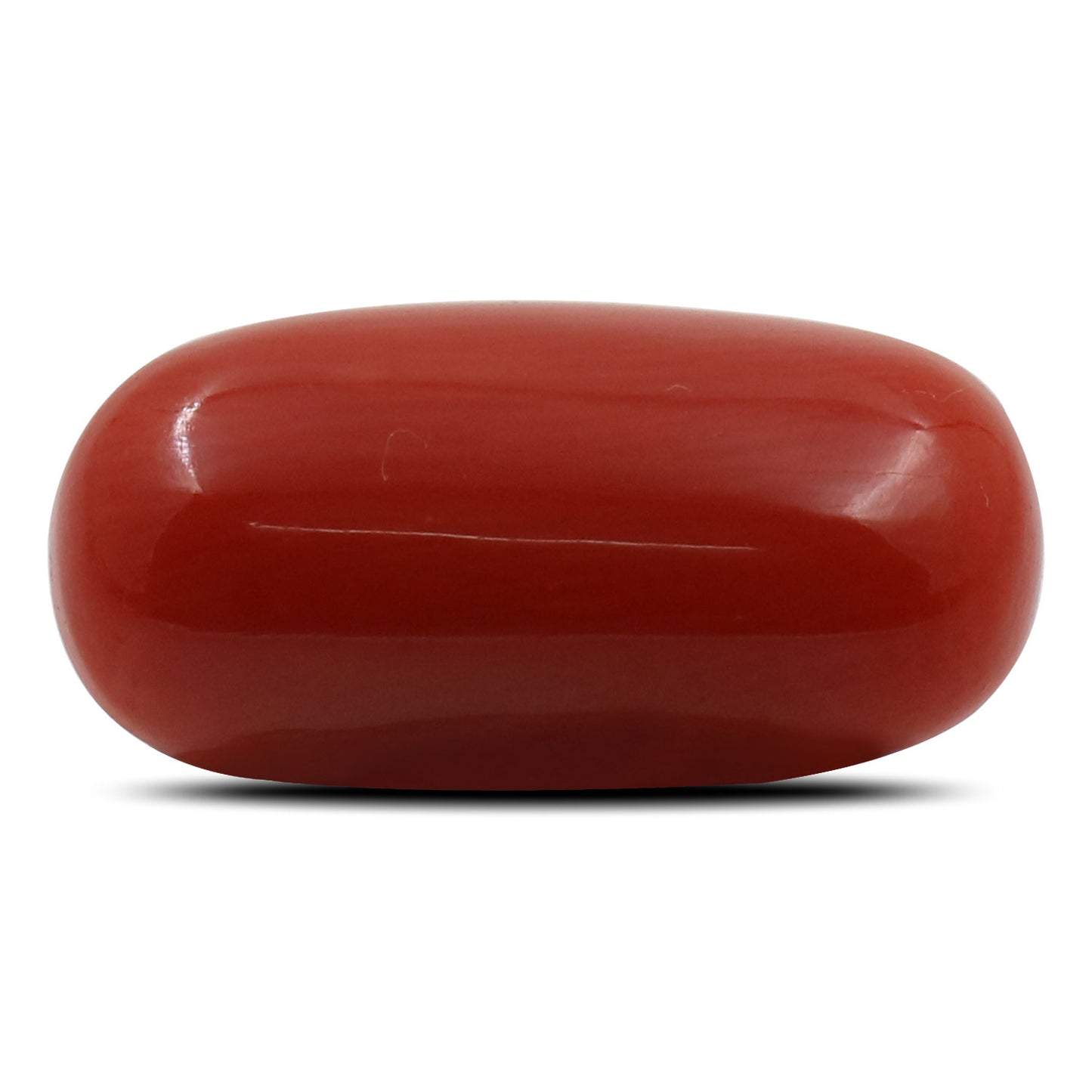 Red Coral (Moonga) - 5.94 Carat