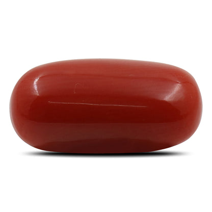 Red Coral (Moonga) - 5.94 Carat