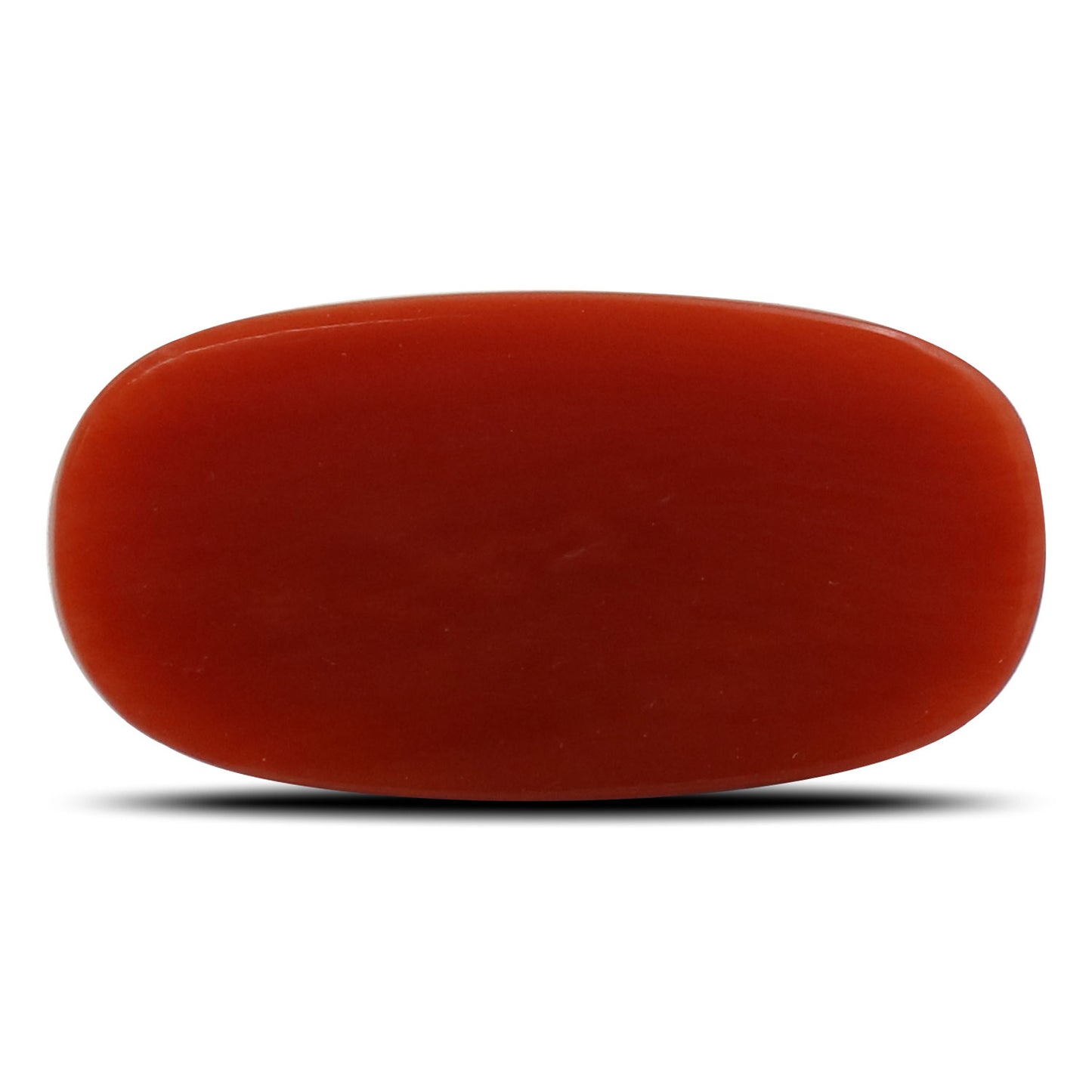 Red Coral (Moonga) - 5.94 Carat