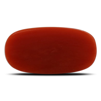 Red Coral (Moonga) - 5.94 Carat
