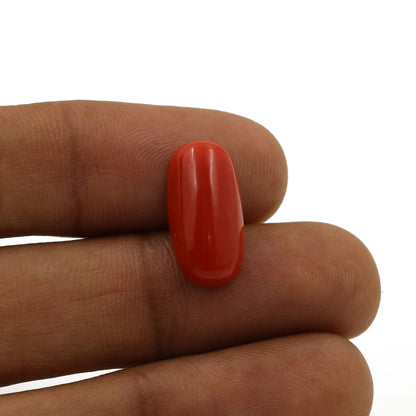 Red Coral (Moonga) - 5.94 Carat