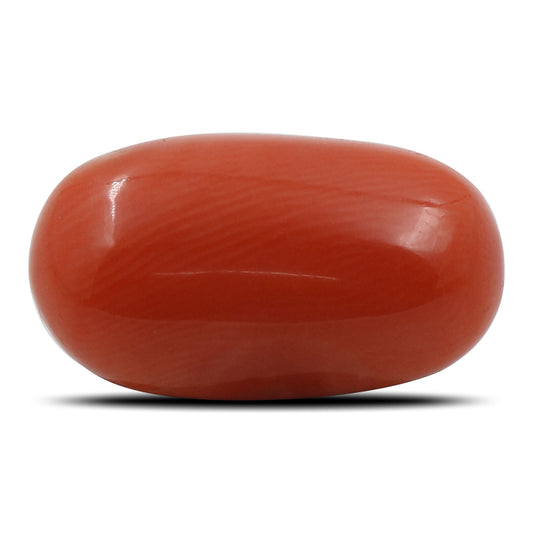 Red Coral (Moonga) - 6.96 Carat