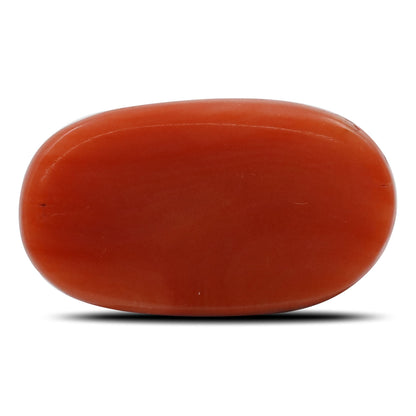 Red Coral (Moonga) - 6.96 Carat