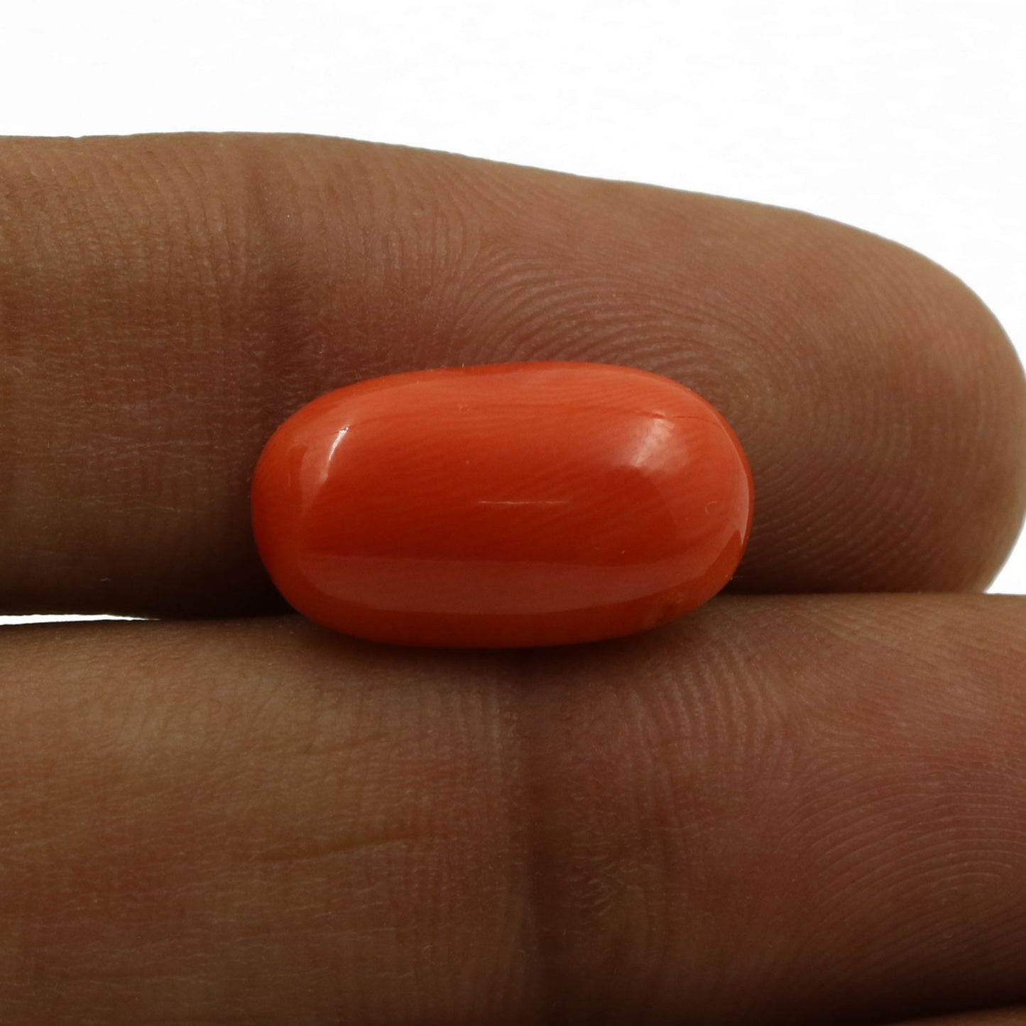 Red Coral (Moonga) - 6.96 Carat