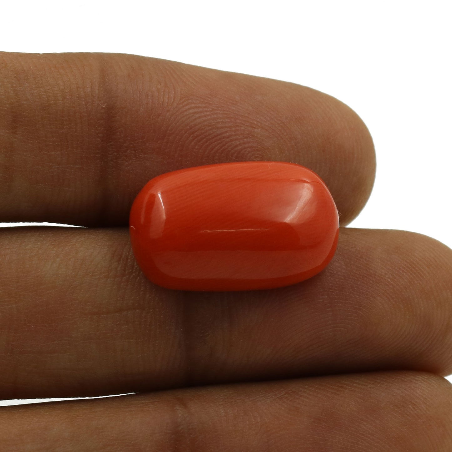 Red Coral (Moonga) - 14.9 Carat
