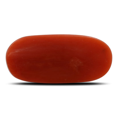 Red Coral (Moonga) - 5.93 Carat