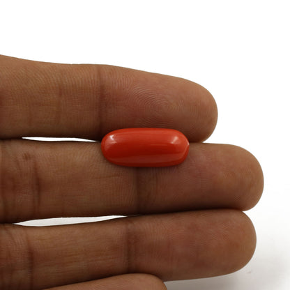 Red Coral (Moonga) - 5.93 Carat