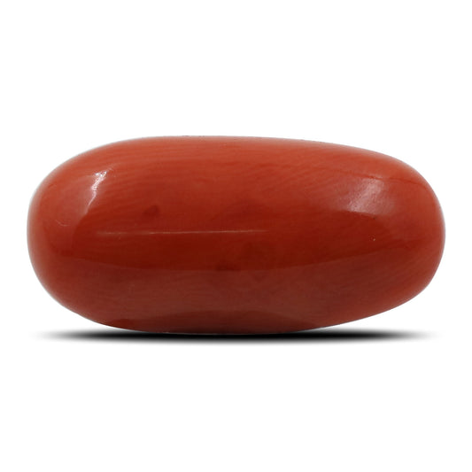 Red Coral (Moonga) - 9.35 Carat