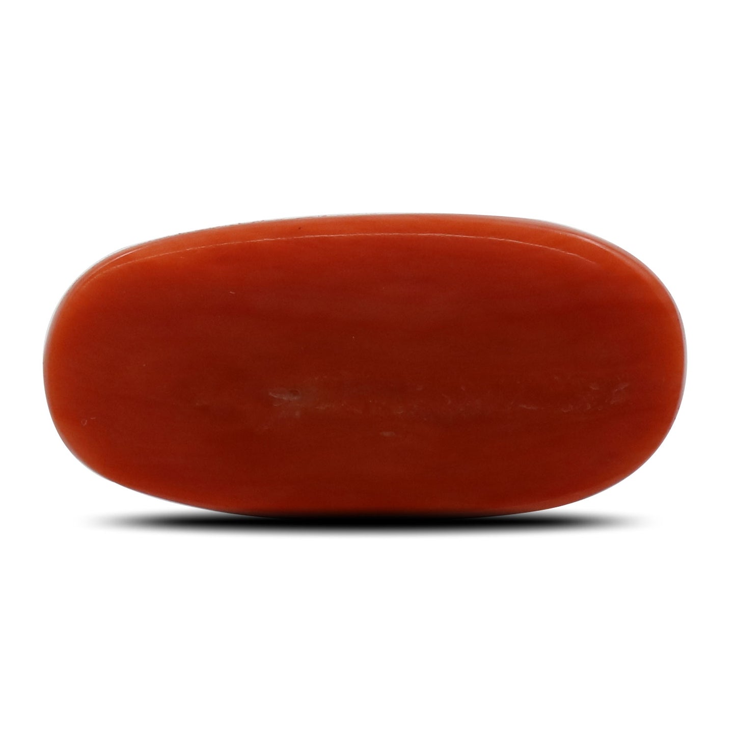 Red Coral (Moonga) - 9.35 Carat