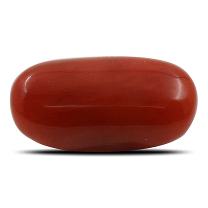 Red Coral (Moonga) - 5.37 Carat