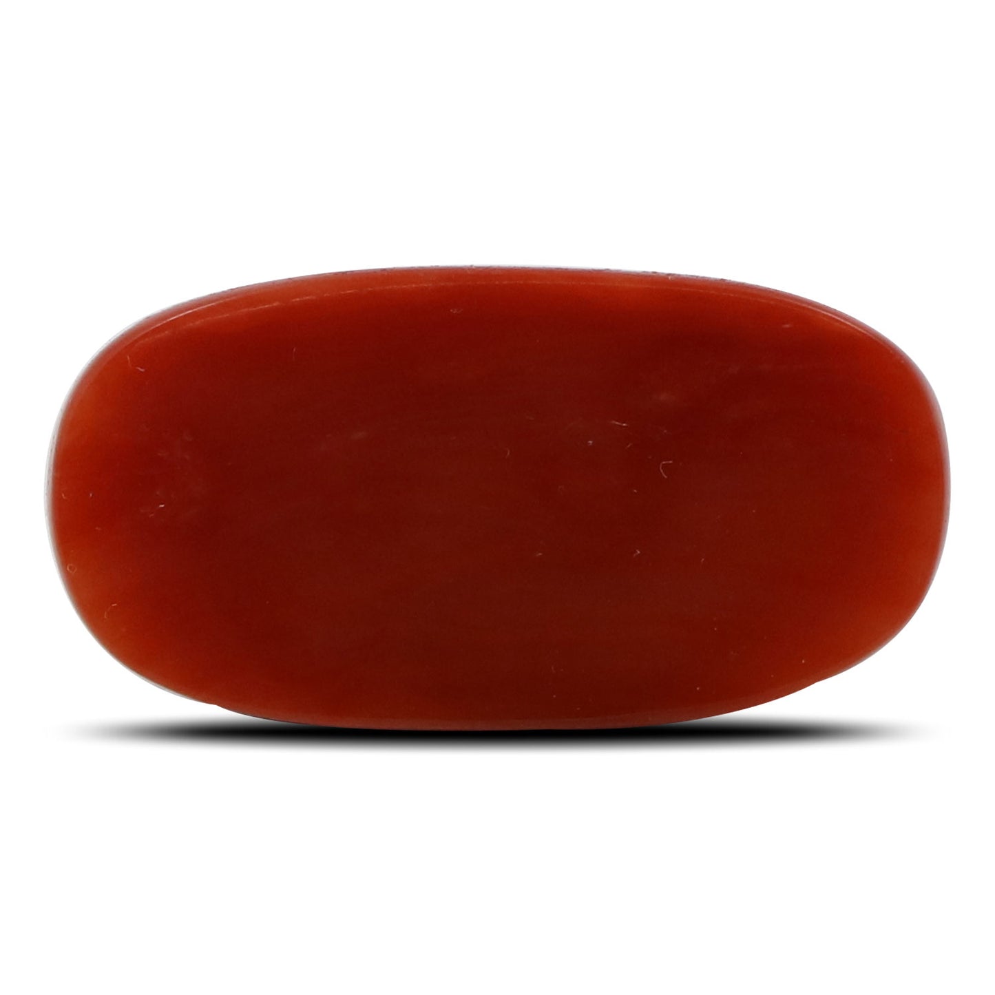 Red Coral (Moonga) - 5.37 Carat