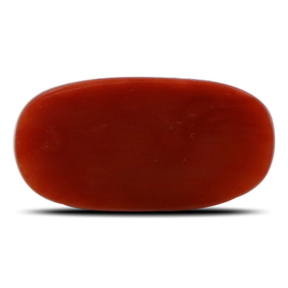Red Coral (Moonga) - 5.37 Carat