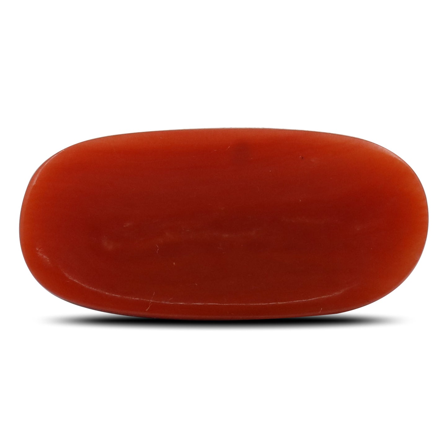 Red Coral (Moonga) - 6.84 Carat