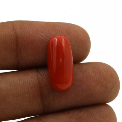Red Coral (Moonga) - 6.84 Carat