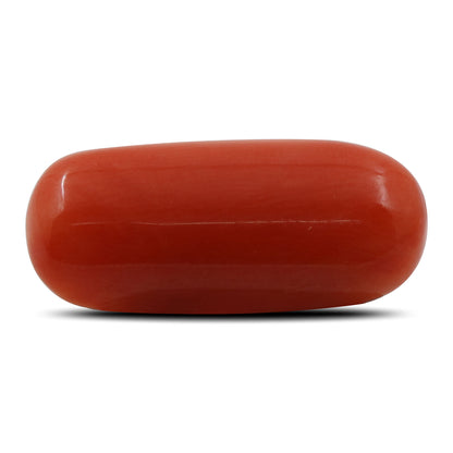Red Coral (Moonga) - 6.78 Carat