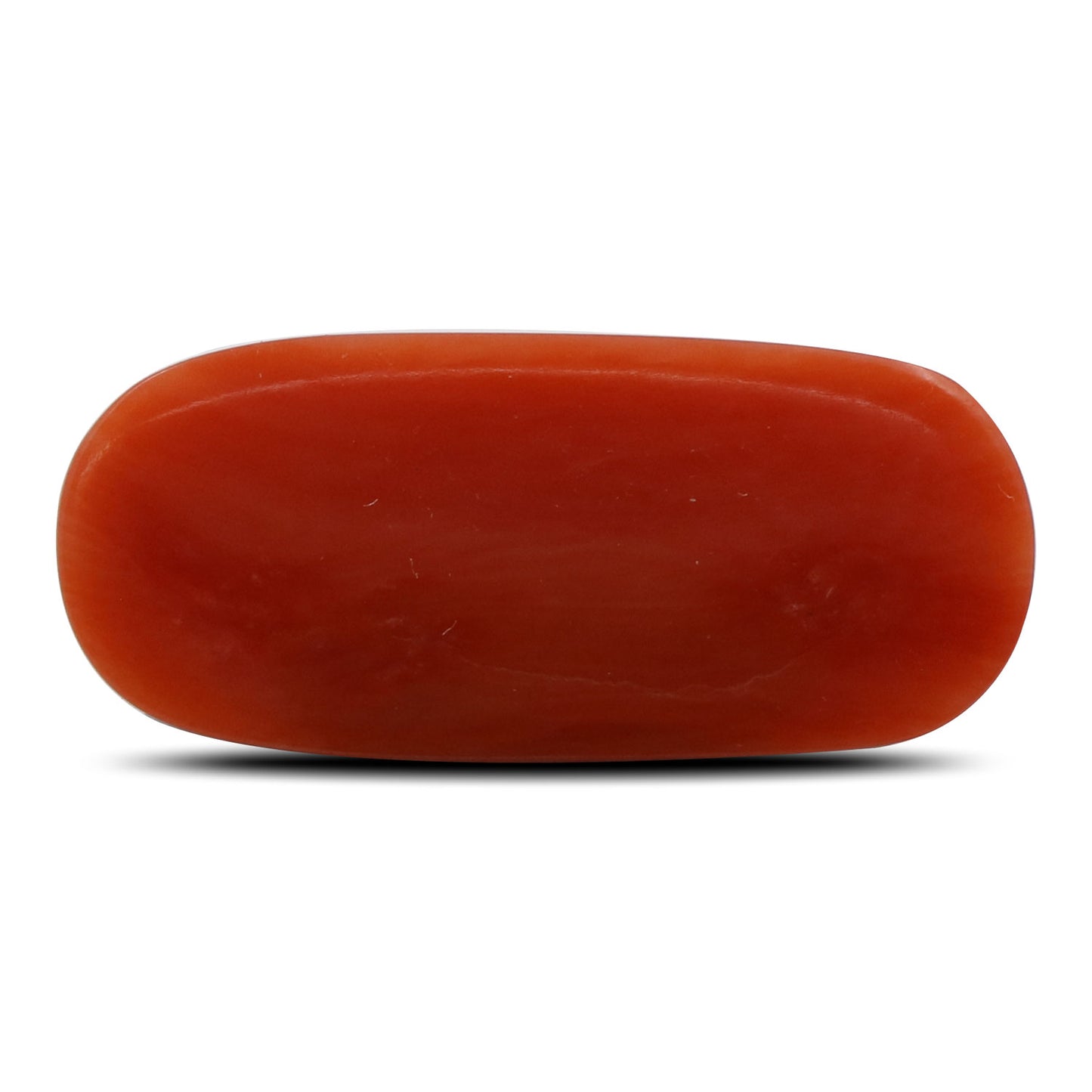 Red Coral (Moonga) - 6.78 Carat