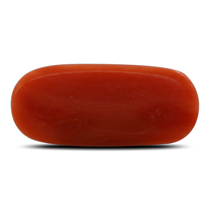 Red Coral (Moonga) - 6.78 Carat