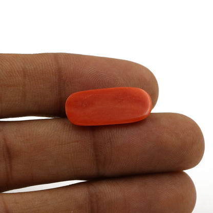 Red Coral (Moonga) - 6.78 Carat