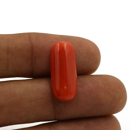 Red Coral (Moonga) - 6.78 Carat