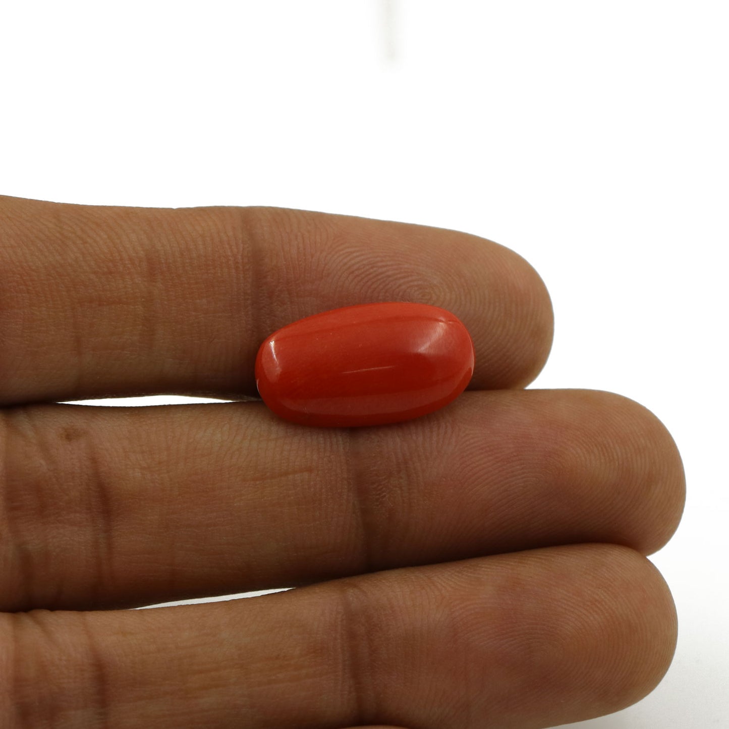 Red Coral (Moonga) - 5.31 Carat