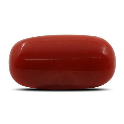 Red Coral (Moonga) - 7.99 Carat