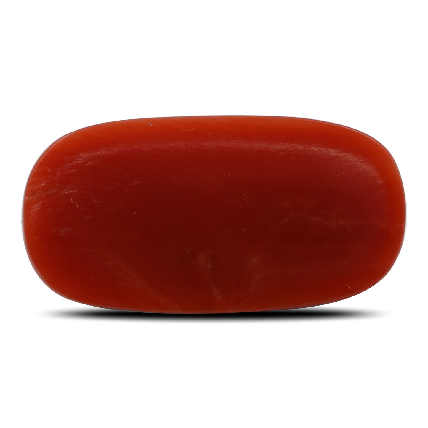 Red Coral (Moonga) - 7.99 Carat