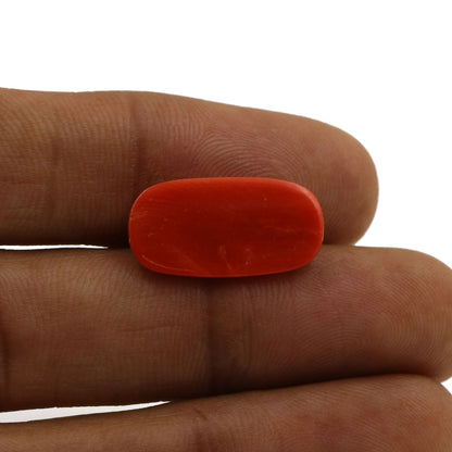 Red Coral (Moonga) - 7.99 Carat