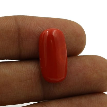 Red Coral (Moonga) - 7.99 Carat