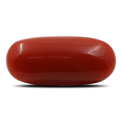 Red Coral (Moonga) - 6.05 Carat