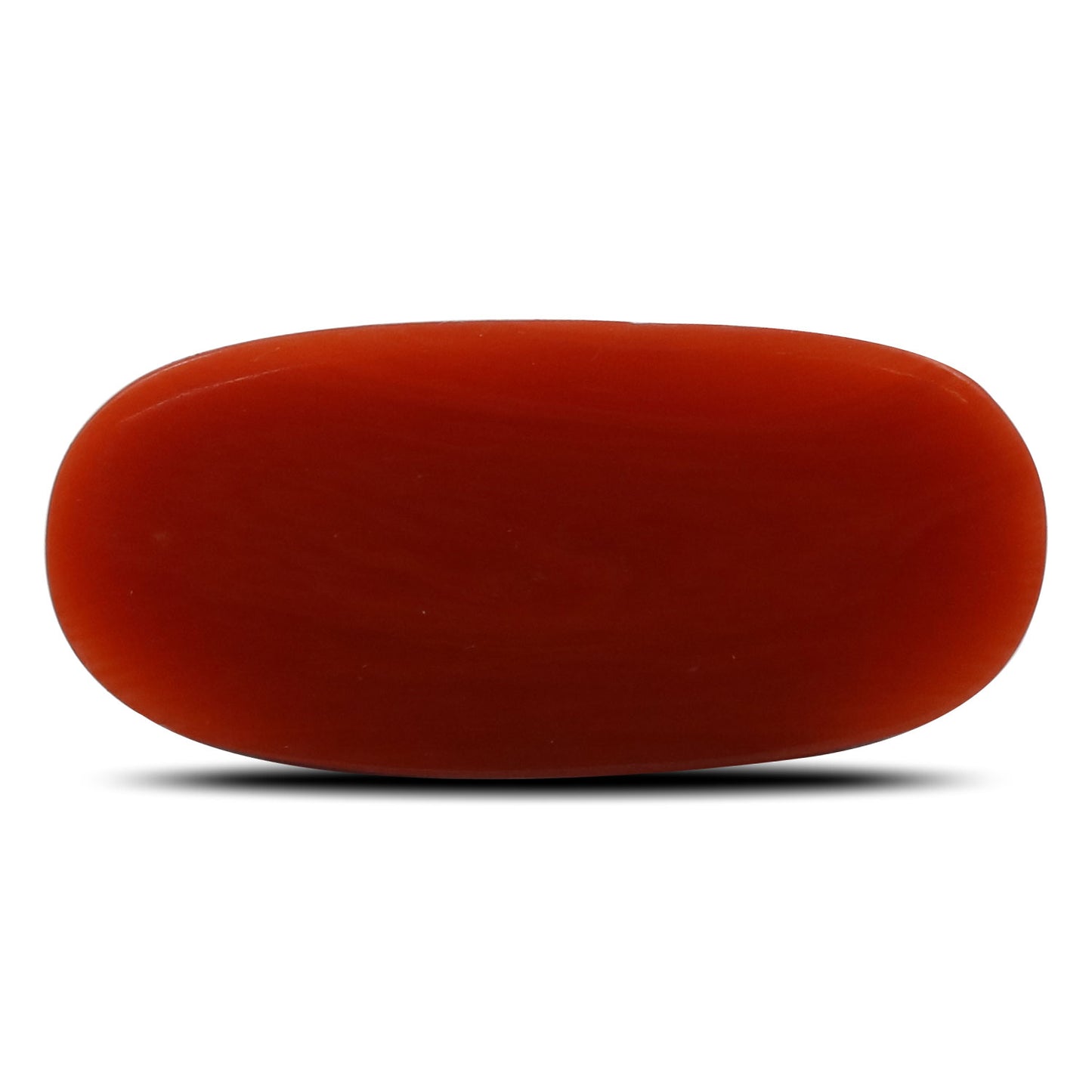 Red Coral (Moonga) - 6.05 Carat