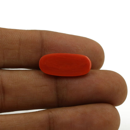 Red Coral (Moonga) - 6.05 Carat