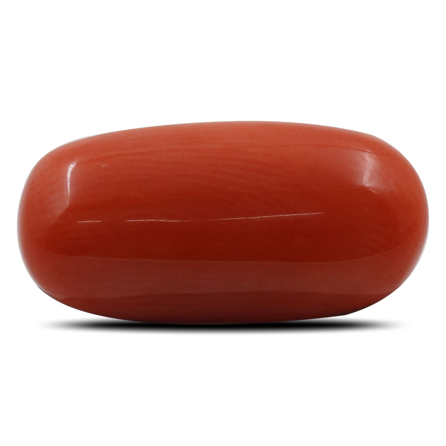 Red Coral (Moonga) - 5.43 Carat