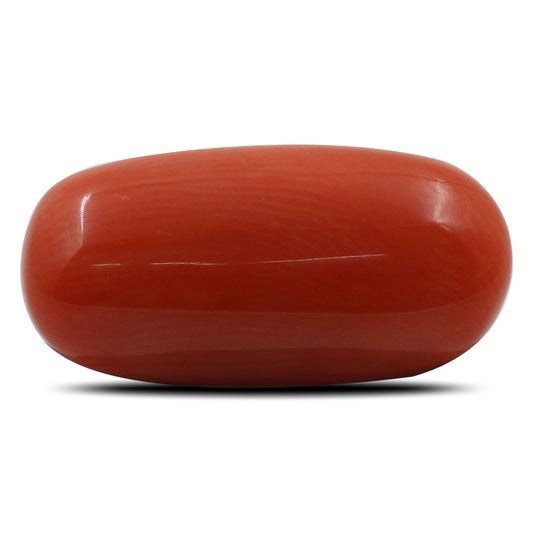 Red Coral (Moonga) - 5.43 Carat