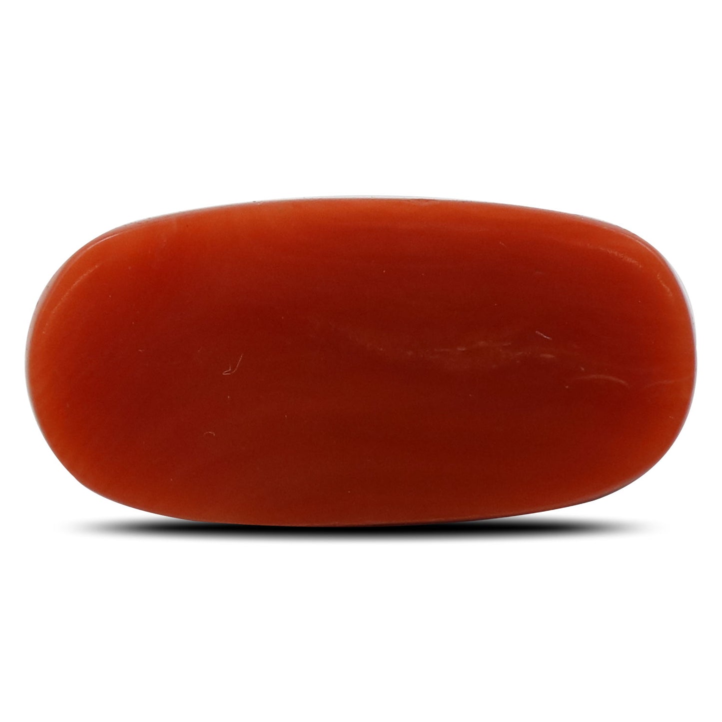 Red Coral (Moonga) - 5.43 Carat