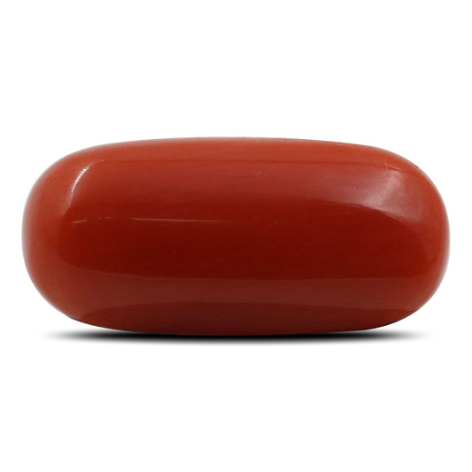 Red Coral (Moonga) - 6.25 Carat