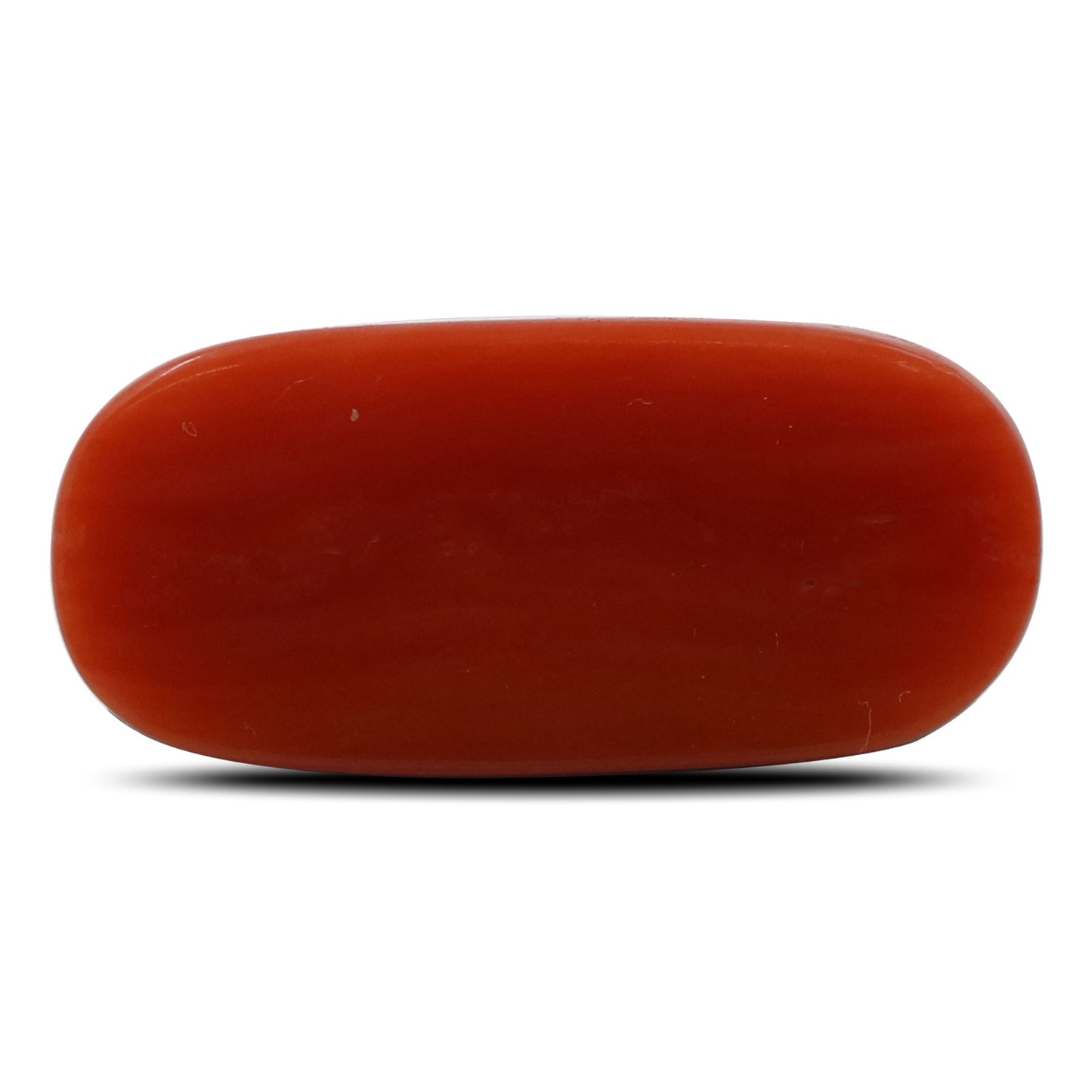 Red Coral (Moonga) - 6.25 Carat
