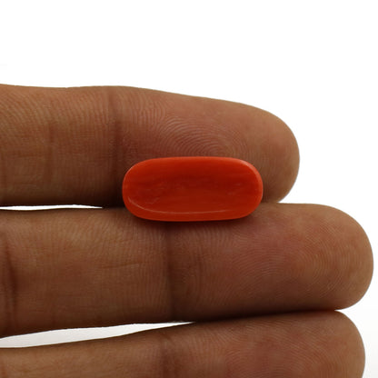 Red Coral (Moonga) - 6.25 Carat