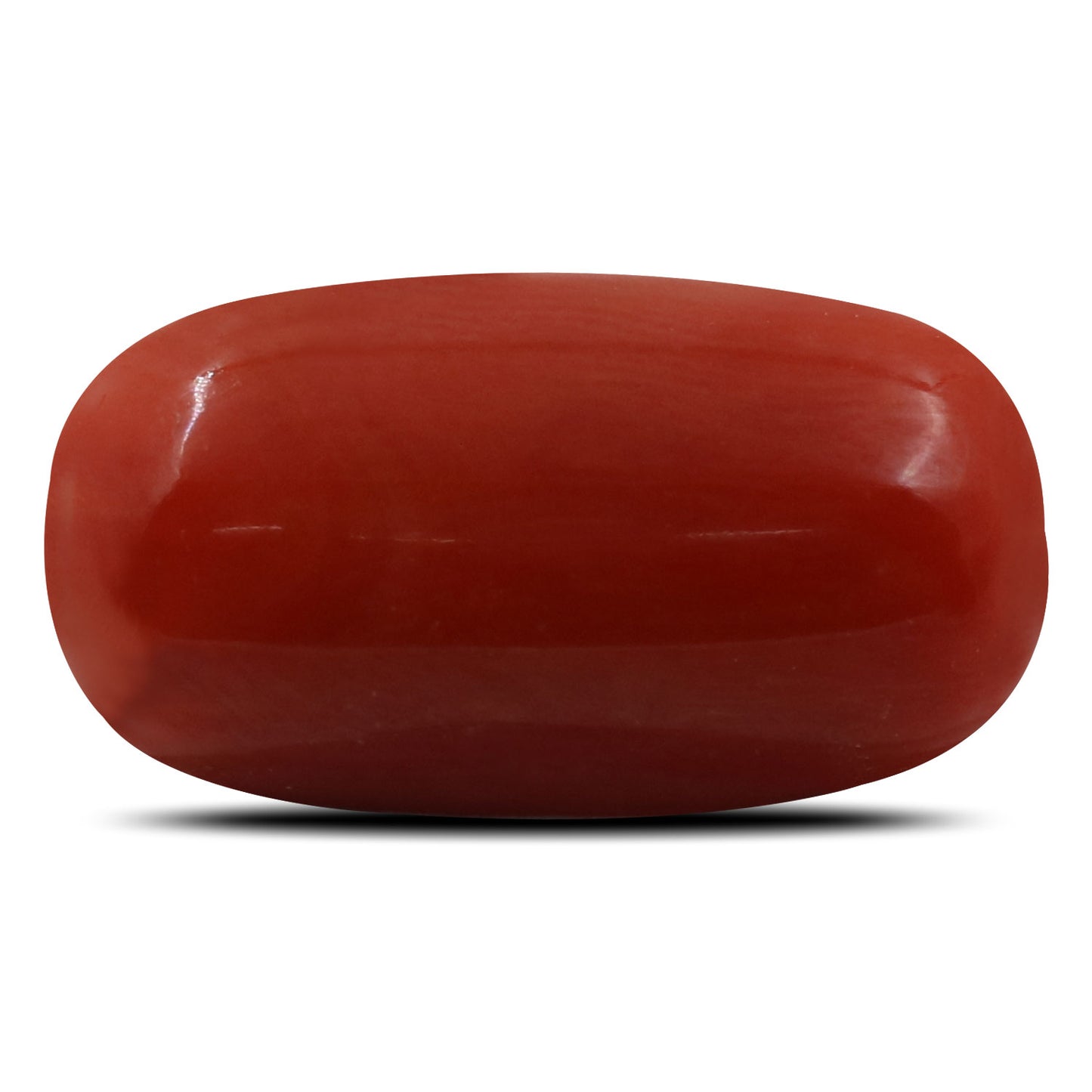 Red Coral (Moonga) - 6.68 Carat
