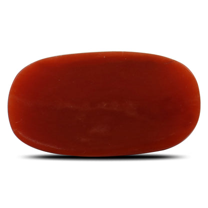 Red Coral (Moonga) - 6.68 Carat