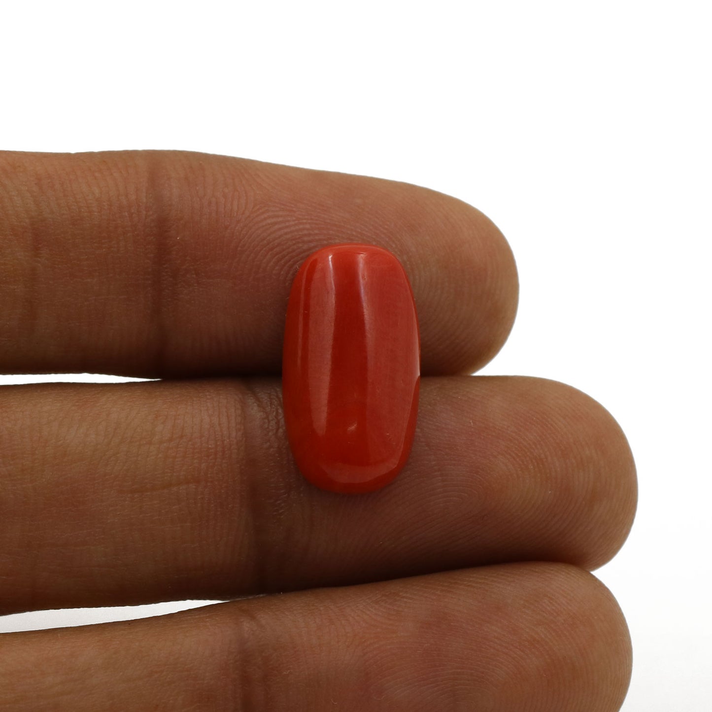 Red Coral (Moonga) - 6.68 Carat