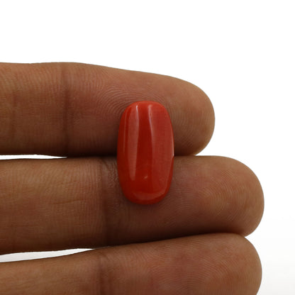 Red Coral (Moonga) - 6.68 Carat