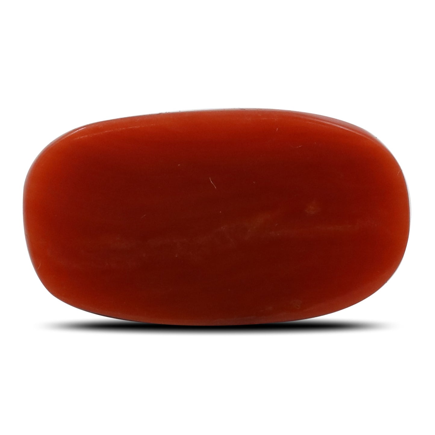 Red Coral (Moonga) - 5.28 Carat