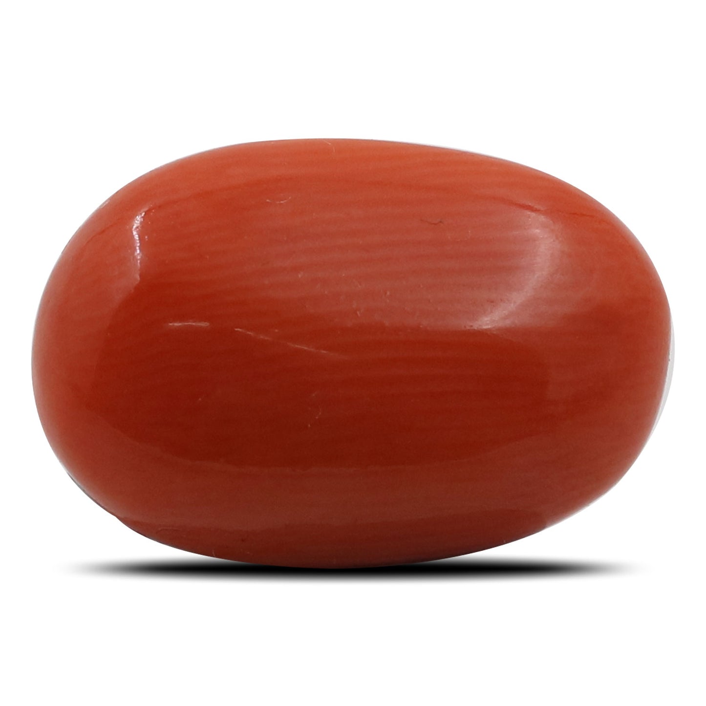 Red Coral (Moonga) - 5.79 Carat