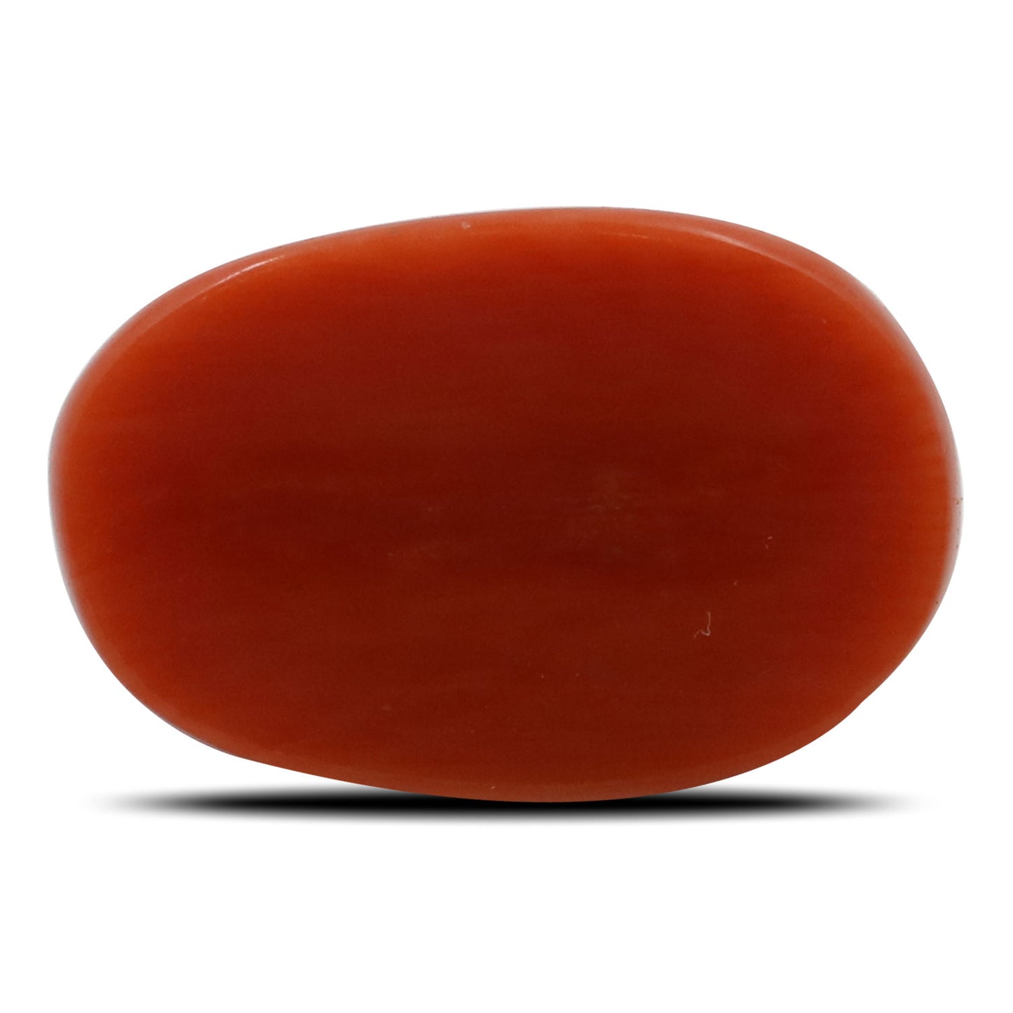 Red Coral (Moonga) - 5.79 Carat