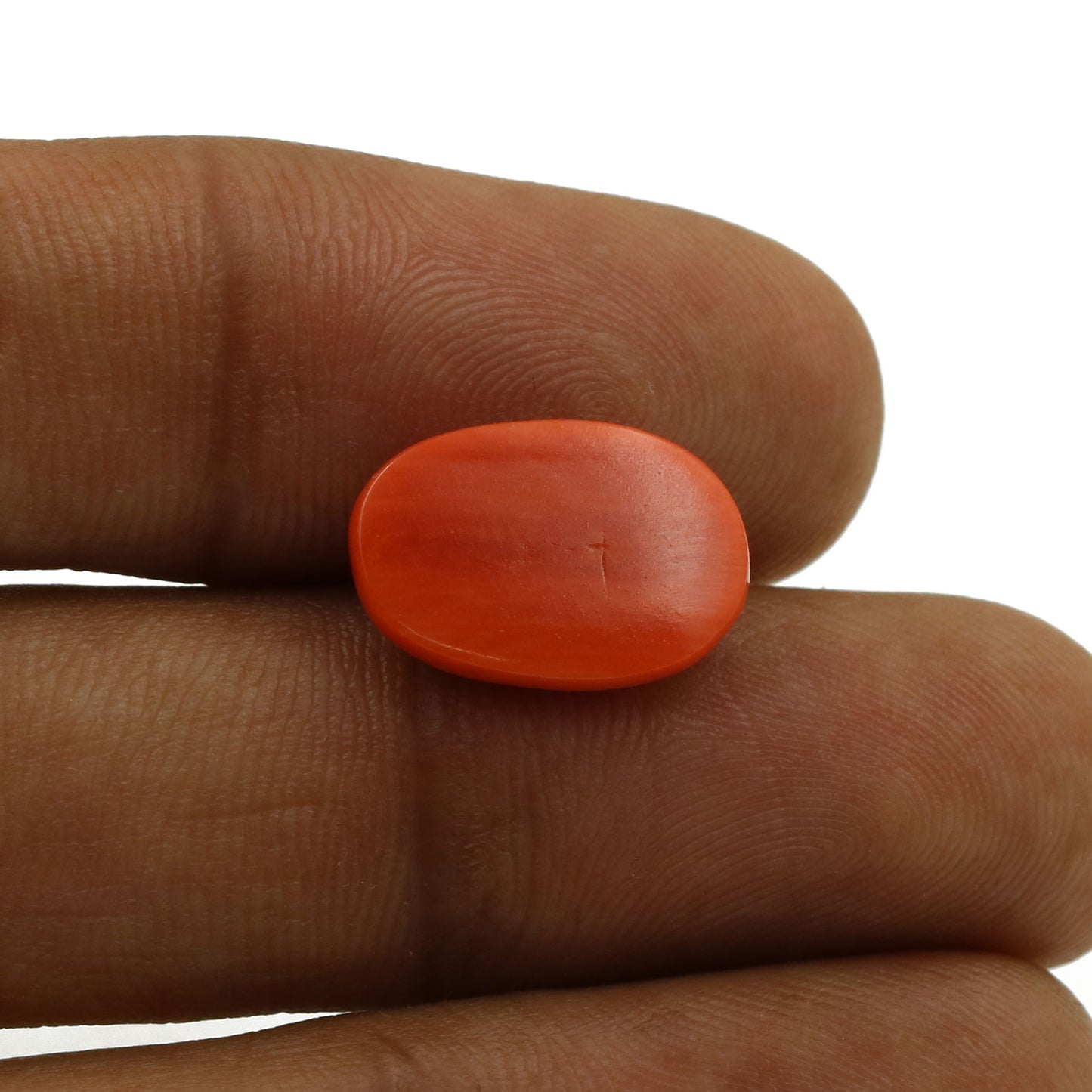 Red Coral (Moonga) - 5.79 Carat