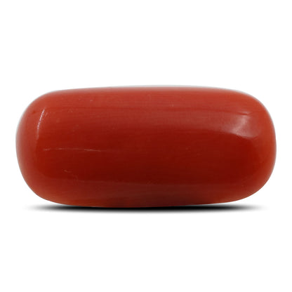 Red Coral (Moonga) - 5.8 Carat
