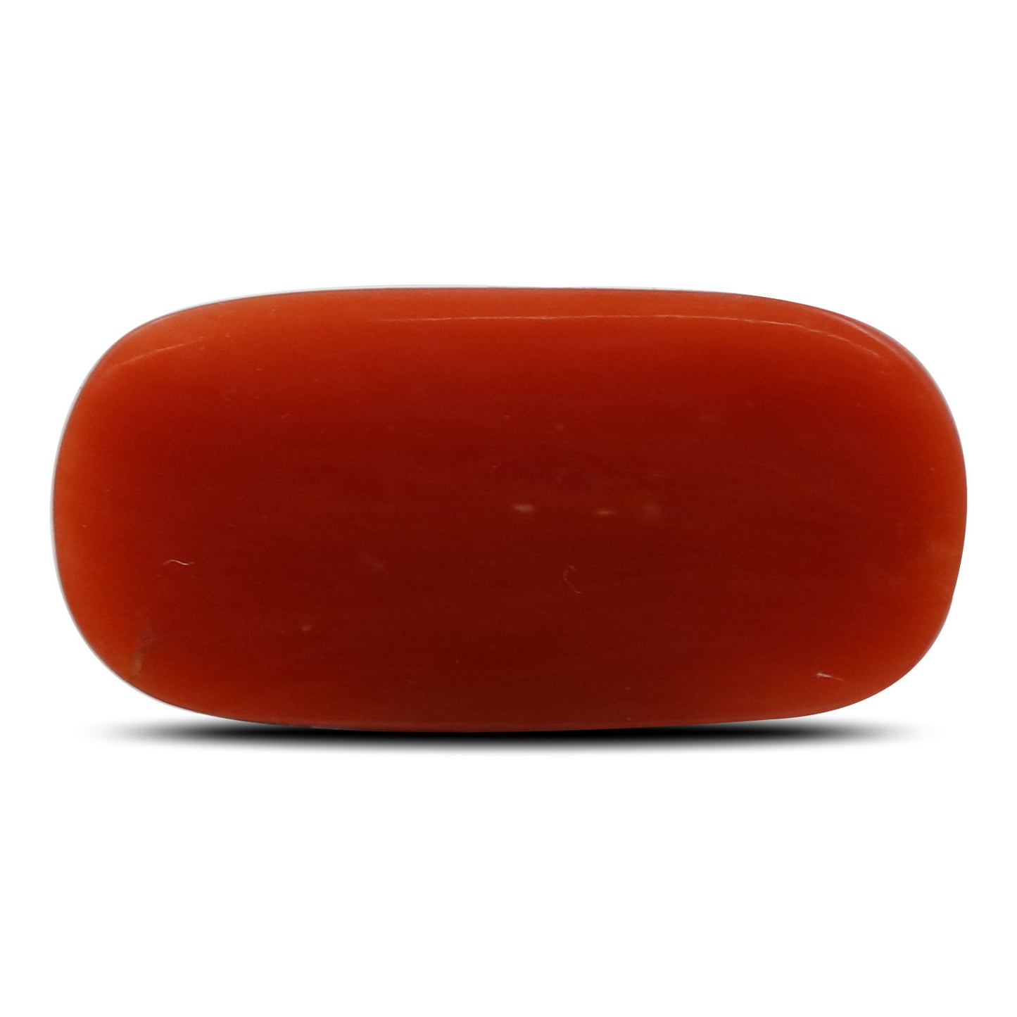 Red Coral (Moonga) - 5.8 Carat
